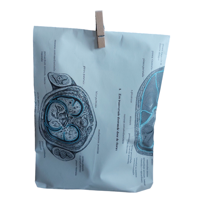 verpakking gemaakt van oude boeken